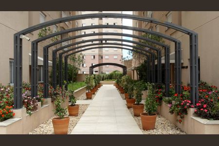 Apartamento para alugar com 49m², 2 quartos e 1 vaga Apartamento para alugar com 49m², 2 quartos e 1 vagaÁrea Comum - Área Externa