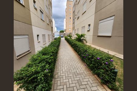 Apartamento para alugar com 55m², 2 quartos e 1 vaga Apartamento para alugar com 55m², 2 quartos e 1 vagaÁrea comum