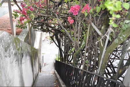 Casa à venda com 300m², 4 quartos e 4 vagasÁrea comum