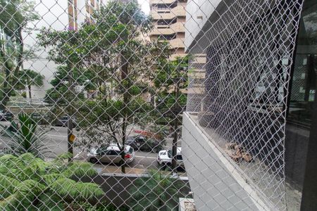 Apartamento para alugar com 240m², 4 quartos e 2 vagas Apartamento para alugar com 240m², 4 quartos e 2 vagasVista da Suíte 2