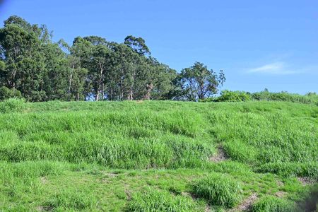 Apartamento para alugar com 98m², 4 quartos e 1 vagaVista do Quarto 2