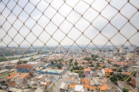 Apartamento à venda com 74m², 3 quartos e 1 vaga Apartamento à venda com 74m², 3 quartos e 1 vagaVista da Sala