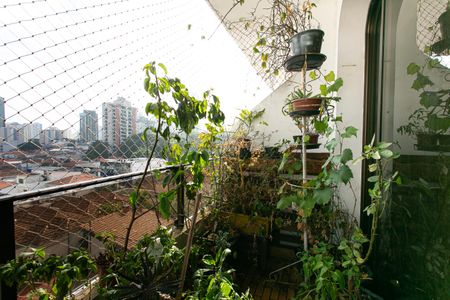 Apartamento para alugar com 110m², 3 quartos e 2 vagasVaranda da Sala