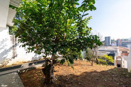 Casa à venda com 295m², 4 quartos e 4 vagasQuintal