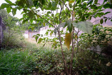 Casa à venda com 246m², 3 quartos e 10 vagasQuintal