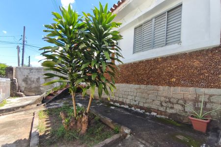 Casa para alugar com 300m², 3 quartos e sem vagaQuintal - Garagem
