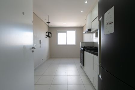 Apartamento para alugar com 32m², 2 quartos e sem vaga Apartamento para alugar com 32m², 2 quartos e sem vagaCozinha - Armários