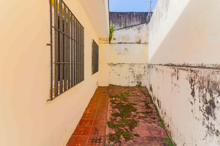 Casa à venda com 256m², 3 quartos e 2 vagasQuintal