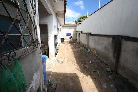 Casa para alugar com 285m², 4 quartos e 3 vagasQuintal