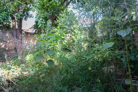 Casa à venda com 360m², 3 quartos e 1 vagaQuintal