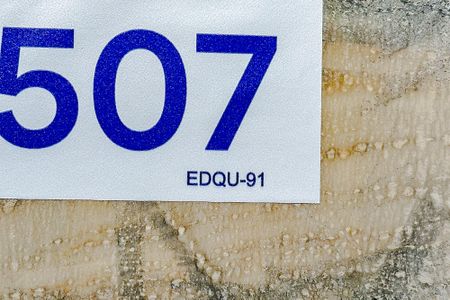 Apartamento à venda com 76m², 2 quartos e sem vagaEDQU-91