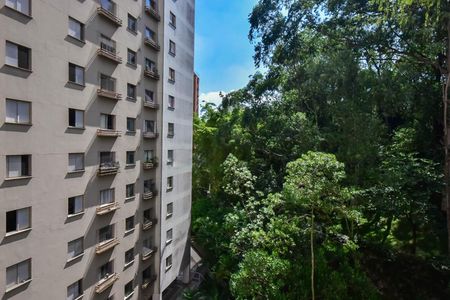 Apartamento à venda com 68m², 3 quartos e 2 vagasVista do Quarto 3