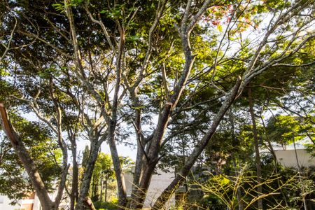 Casa à venda com 537m², 5 quartos e 4 vagas Casa à venda com 537m², 5 quartos e 4 vagasVista da Suíte