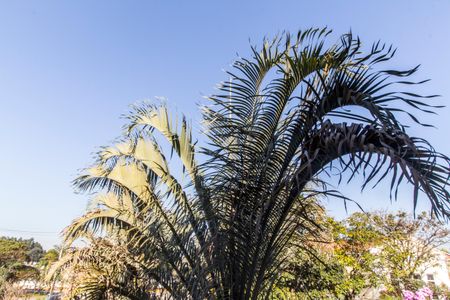 Casa à venda com 318m², 4 quartos e 4 vagasVista da Suíte 1