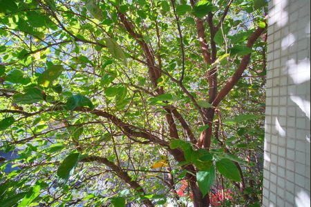 Apartamento à venda com 100m², 2 quartos e sem vagaVista