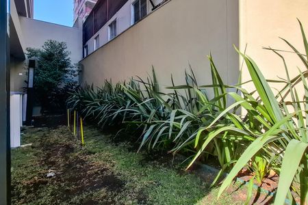 Studio para alugar com 33m², 1 quarto e sem vaga Studio para alugar com 33m², 1 quarto e sem vagaÁrea comum