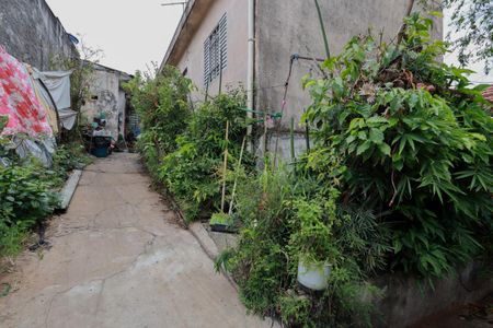 Casa à venda com 450m², 2 quartos e 2 vagas Casa à venda com 450m², 2 quartos e 2 vagasQuintal