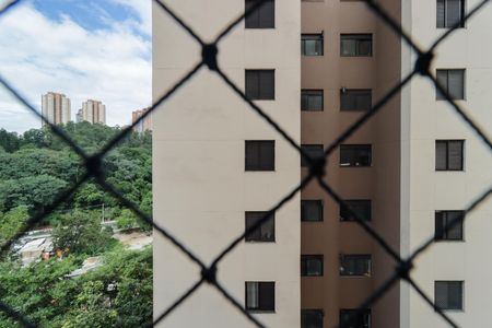 Apartamento à venda com 70m², 3 quartos e 1 vaga Apartamento à venda com 70m², 3 quartos e 1 vagaVista do Quarto 3