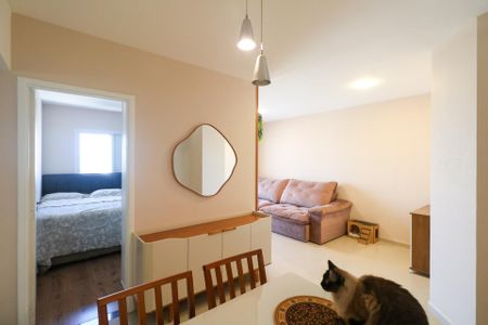 Apartamento à venda com 70m², 3 quartos e 1 vaga Apartamento à venda com 70m², 3 quartos e 1 vagaSala de Jantar