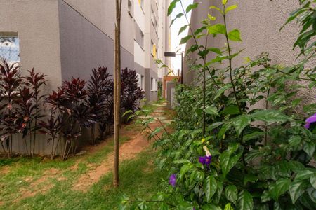 Apartamento à venda com 24m², 1 quarto e sem vaga Apartamento à venda com 24m², 1 quarto e sem vagaÁrea comum - Pet Place