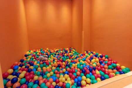 Apartamento para alugar com 38m², 2 quartos e sem vagaÁrea comum - Brinquedoteca