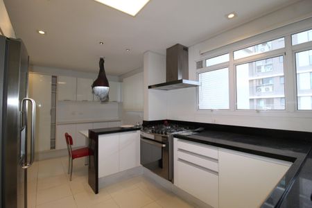 Apartamento à venda com 377m², 3 quartos e 6 vagasCozinha