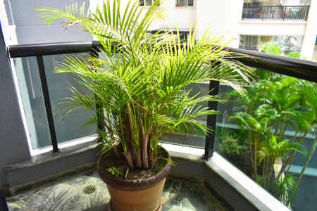 Apartamento à venda com 165m², 3 quartos e 2 vagas Apartamento à venda com 165m², 3 quartos e 2 vagasSuíte