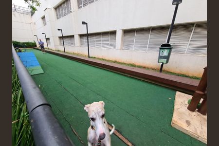 Apartamento à venda com 128m², 3 quartos e 2 vagas Apartamento à venda com 128m², 3 quartos e 2 vagasÁrea Pet