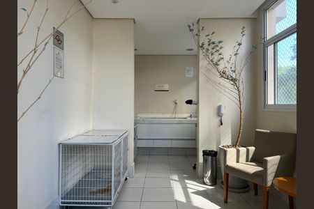 Apartamento à venda com 70m², 2 quartos e 1 vagaÁrea comum - Pet