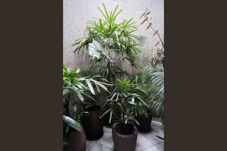 Casa à venda com 168m², 3 quartos e 2 vagasJardim de inverno