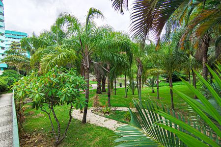 Apartamento para alugar com 83m², 2 quartos e 1 vagaarea comum