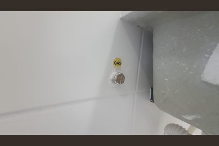 Apartamento para alugar com 50m², 2 quartos e 1 vagadetalhe da cozinha