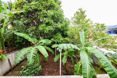 Apartamento à venda com 88m², 3 quartos e 1 vagaVista do Quarto 2