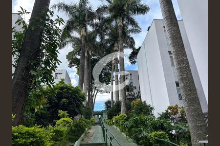Apartamento à venda com 75m², 3 quartos e 1 vaga
