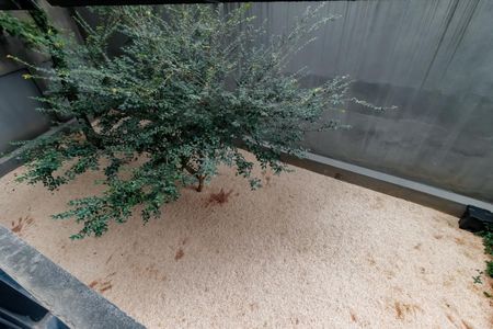 Apartamento à venda com 140m², 1 quarto e 3 vagasEspaço PET