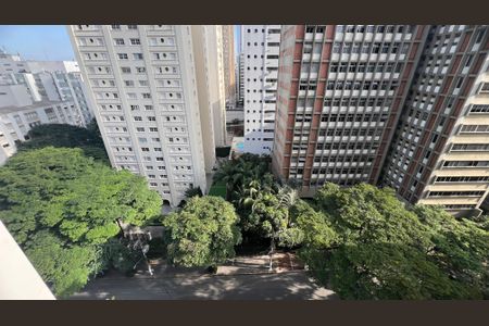 Apartamento à venda com 380m², 4 quartos e 3 vagasVista da Varanda