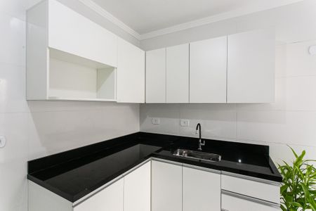 Apartamento para alugar com 42m², 2 quartos e 1 vagaCozinha - Armários