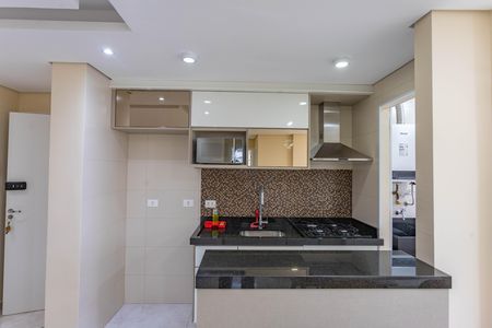Apartamento para alugar com 46m², 2 quartos e 1 vaga Apartamento para alugar com 46m², 2 quartos e 1 vagaCozinha