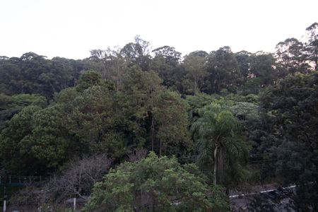 Apartamento à venda com 127m², 3 quartos e 2 vagasVista