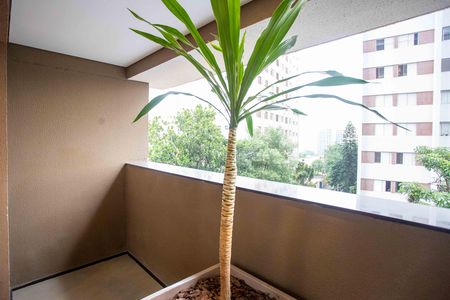 Studio para alugar com 33m², 1 quarto e sem vagaÁrea comum