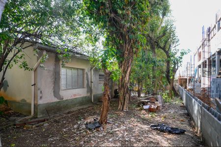 Casa para alugar com 500m², 2 quartos e 3 vagasQuintal