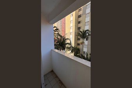 Apartamento à venda com 96m², 3 quartos e 1 vaga Apartamento à venda com 96m², 3 quartos e 1 vagaSacada