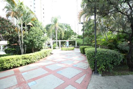 Apartamento à venda com 54m², 2 quartos e 1 vagaÁrea comum