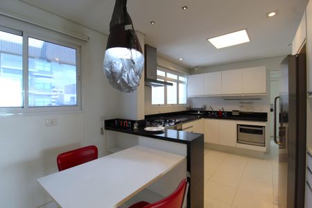 Apartamento à venda com 377m², 3 quartos e 6 vagasCozinha