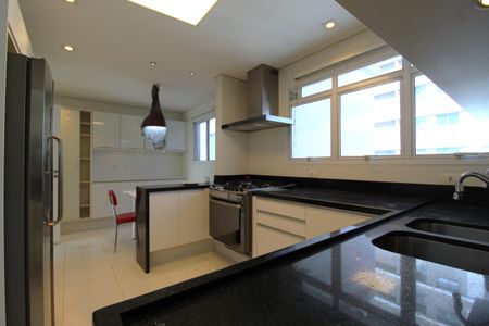 Apartamento à venda com 377m², 3 quartos e 6 vagasCozinha
