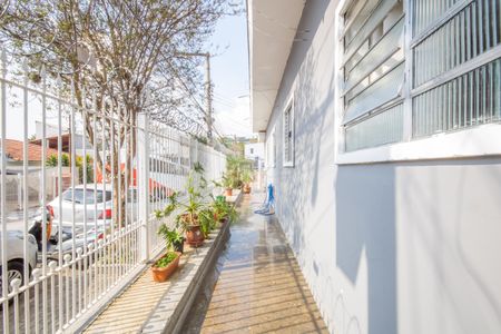 Casa à venda com 180m², 3 quartos e 3 vagas Casa à venda com 180m², 3 quartos e 3 vagasÁrea comum