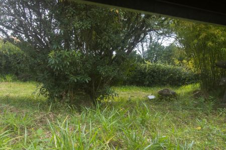 Casa para alugar com 800m², 4 quartos e 3 vagas Casa para alugar com 800m², 4 quartos e 3 vagasVista da Suíte 1