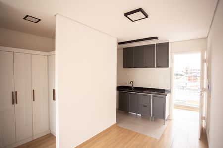 Studio para alugar com 24m², 1 quarto e sem vagaCozinha- Área de serviço