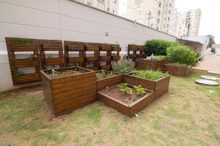 Apartamento para alugar com 52m², 2 quartos e 1 vaga Apartamento para alugar com 52m², 2 quartos e 1 vagaÁrea Comum - Horta