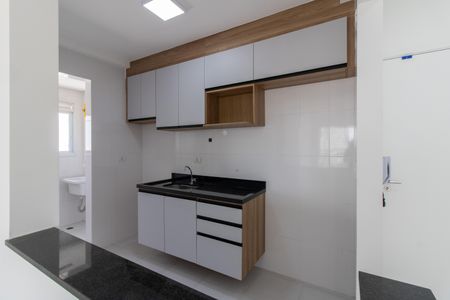 Apartamento para alugar com 57m², 2 quartos e 2 vagasCozinha